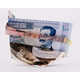 Collaged Currency Masterpieces Image 6