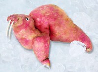 Edible Creature Sculptures Image 3