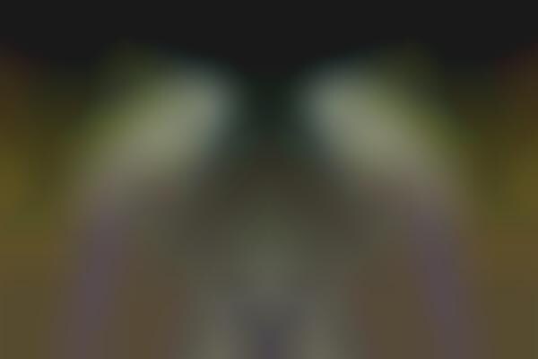 Symmetrical Neon Cityscapes