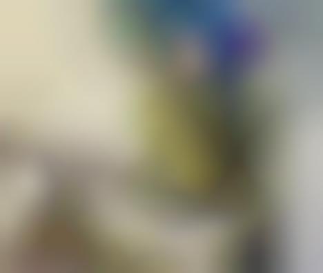 Cubism-Referenced Photography