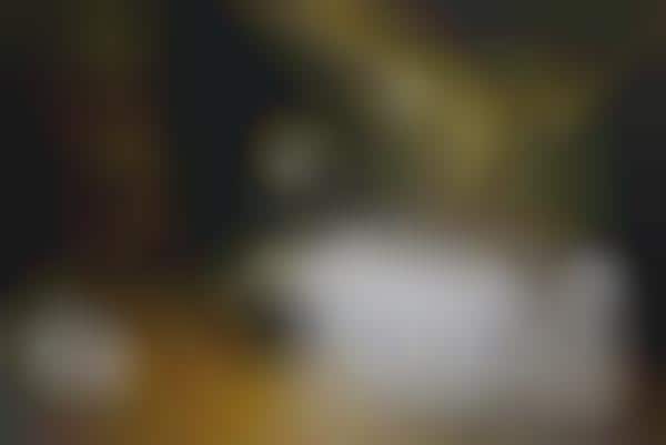 Child-Focused Destinations