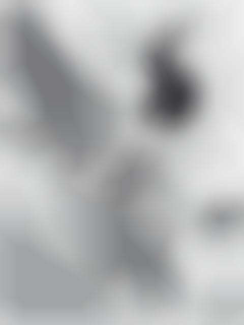 Film-Inspired Animations
