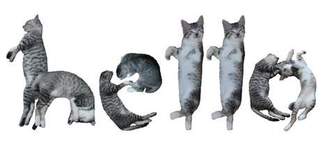 Playful Cat Typography