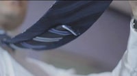 Guiding Magnetized Ties Image 3