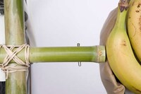 Bamboo Bicycle Storage Image 3