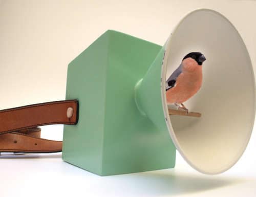 40 Bizarre Avian Abodes