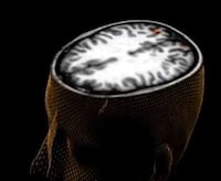 Image-Revealing Brain Scans  Image 4