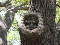 Spiritual Tree Trunk Sculptures Image 4