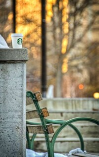 Abandoned Coffee Cup Captures  Image 4