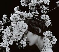 Artistically Manipulated Floral Portraits Image 2