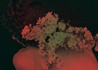 Artistically Manipulated Floral Portraits Image 3