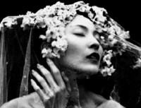 Artistically Manipulated Floral Portraits Image 4