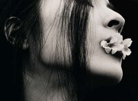 Artistically Manipulated Floral Portraits Image 5