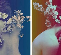 Artistically Manipulated Floral Portraits Image 7