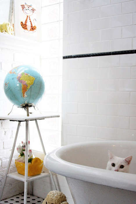 Casual Cat Photography