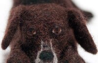 Felt-Made Fauxidermy Figures Image 6