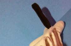 Famous Feline Scarves