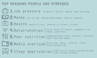Morbid Stress Statistics Image 4