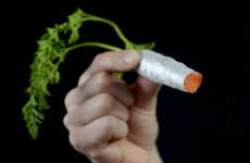 Color-Enhancing Food Sprays