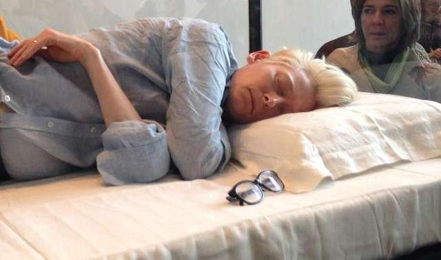 Snoozing Celebrity Installations