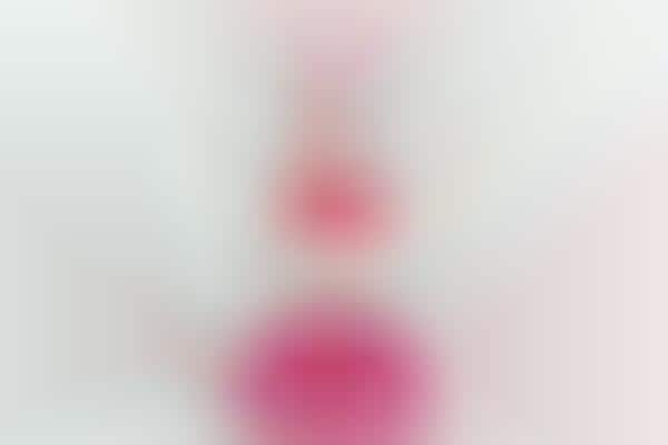 Booty-Shaking Toy Bunnies