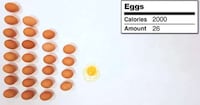 Calorie Explanation Videos Image 2