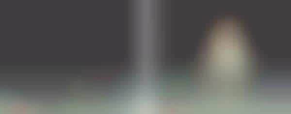 Video Browsing by Direct Manipulation