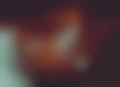 Jeweled Foliage Bras