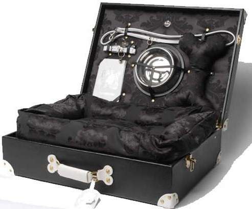 Luxury Luggage for Dogs