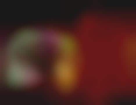 Interactive Human Body Museum