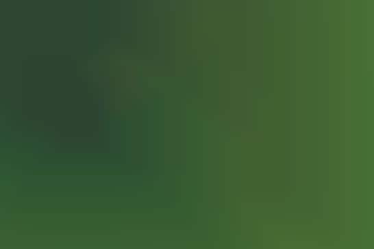 Activism Through Aerial Photography