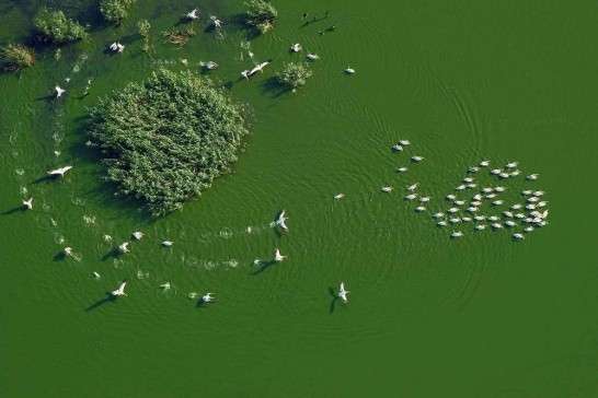 Activism Through Aerial Photography