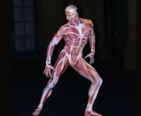Commercial Body Painting Image 2