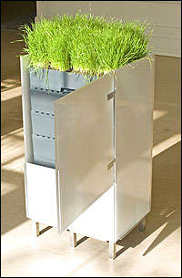 High Rise Composts