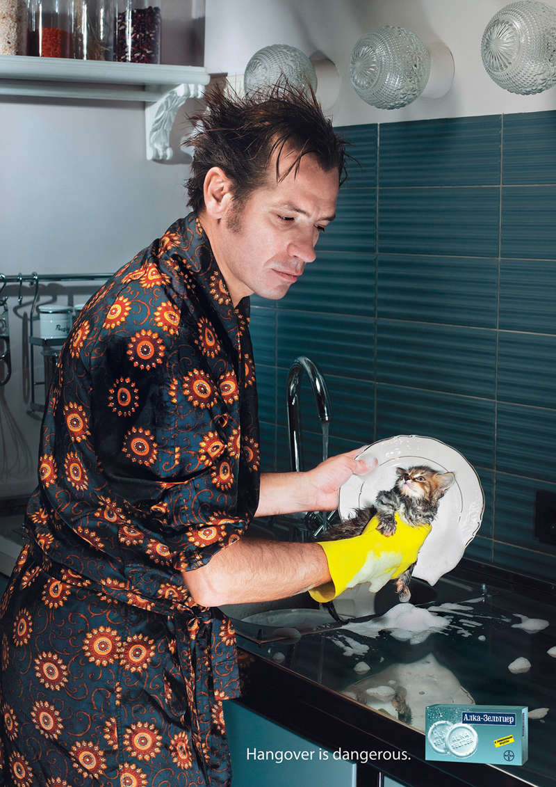 Kittens as Dish Rags