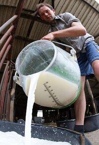 Pouring Milk in Fields Image 2