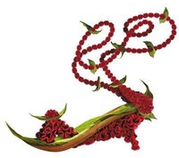 Botanical Shoes Image 3