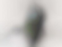 Facebook-Compatible Digital Photo Frames Image 1