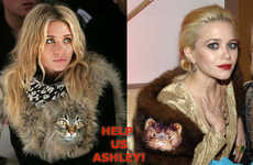 Sending Your Hair to Celebrities
