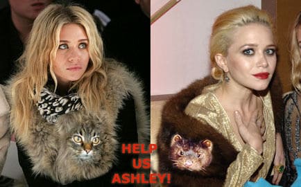 Sending Your Hair to Celebrities