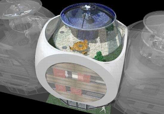 Cube-Shaped Eco Architecture