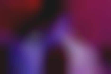 Celebrity Fashion Lines