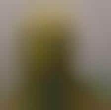 Landscape Self Portraits