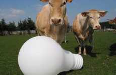 Giant Light Bulb Shaped Lamps