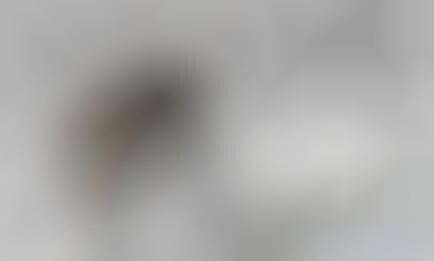 Laptop Sleeping Bags