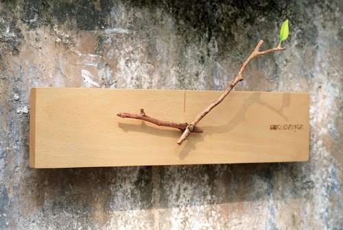 Minimalist Timber Time Tellers