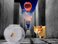 Eclectic Elemental Surreal Art Image 8