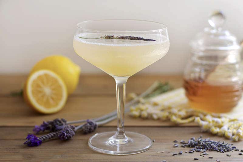 Lavender-Scented Cocktails
