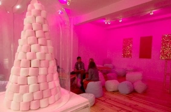 Medicinal Marshmallow Clinics