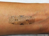 Cyborg Circuit Implants Image 2